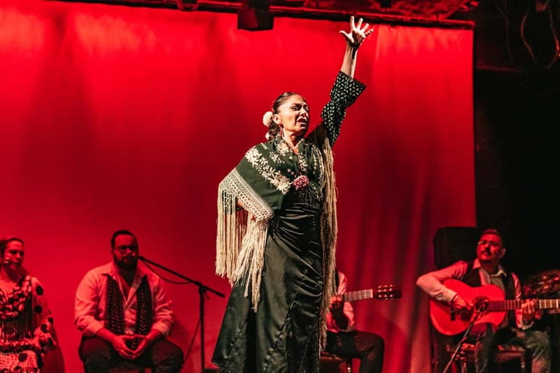 Barcelona: Flamenco Show at the Theater - Who should book this flamenco show?