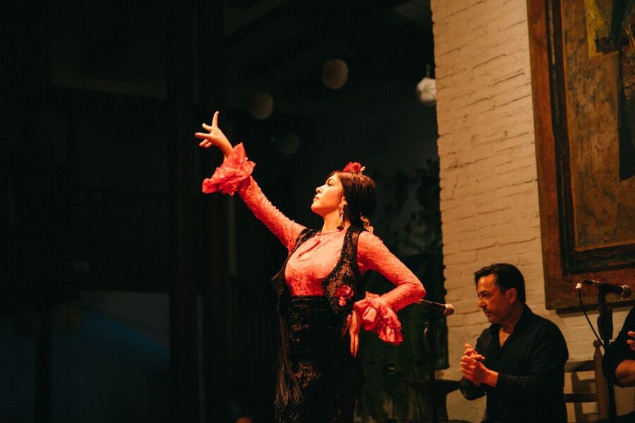 Barcelona: Flamenco Show with Dinner at Tablao de Carmen - Who should book Tablao de Carmen?