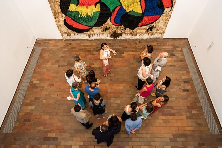 Barcelona: Fundació Joan Miró Skip-the-Line Entry Ticket - Who will enjoy this museum most?