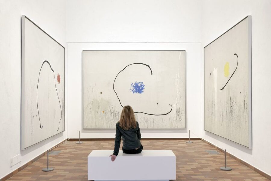 Barcelona: Fundació Joan Miró Skip-the-Line Entry Ticket - Audio guides and going without a guide