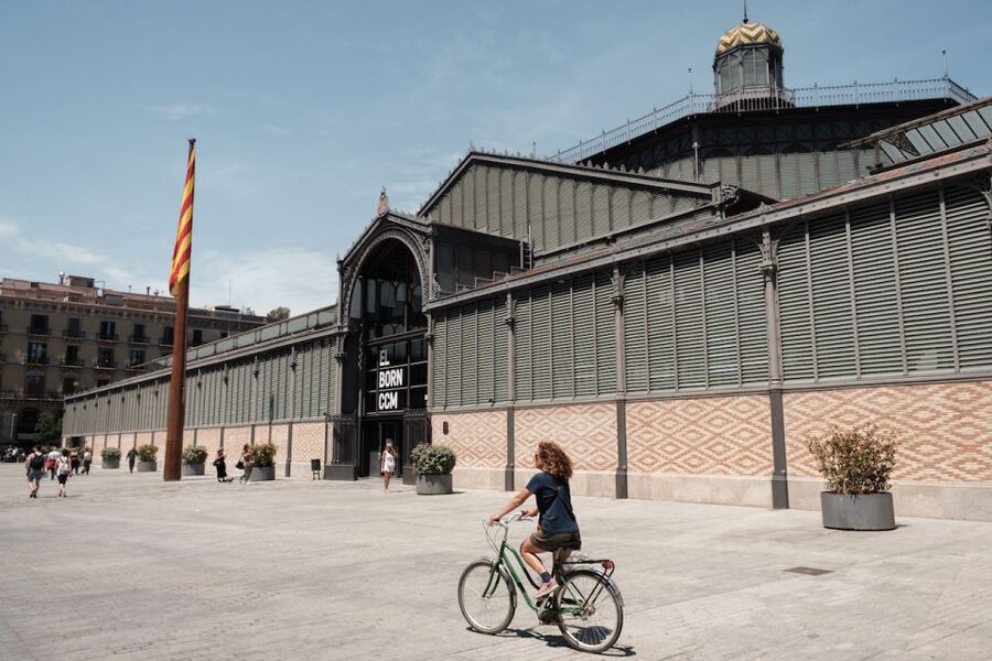 Barcelona: Guided Bike or E-Bike City Tour - Plaça del Rei and Barcelona Cathedral