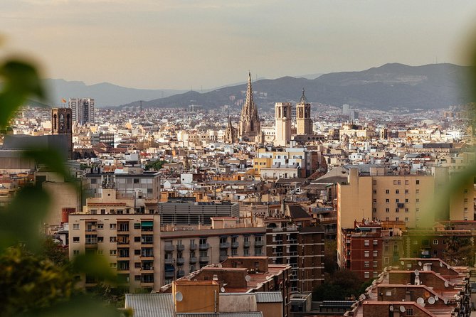 Barcelona Highlights & Hidden Gems Private Tour - The extra stops depend on your guide