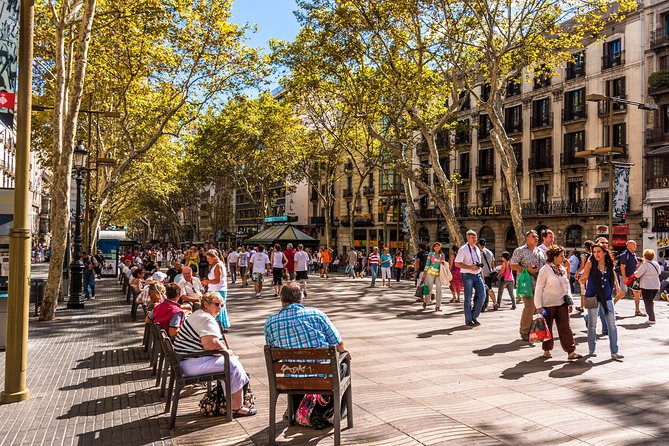 Barcelona Highlights Private Guided Tour with Hotel Pick-up - Why this private tour works for a first Barcelona day