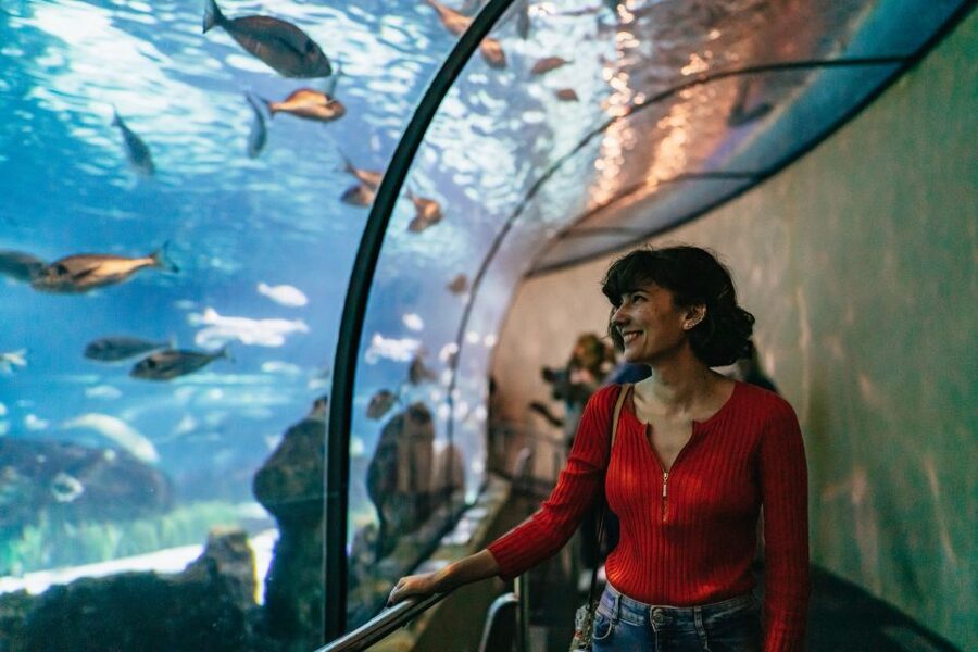 Barcelona: Hop-On Hop-Off Bus & Aquarium Tour - Why this combo works for a first Barcelona visit