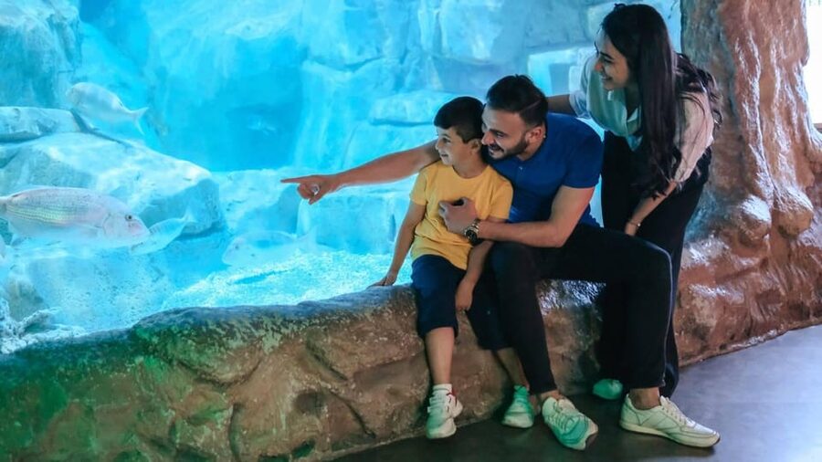Barcelona: Hop-On Hop-Off Bus & Aquarium Tour - The orange west route from WTC to Passeig de Colom