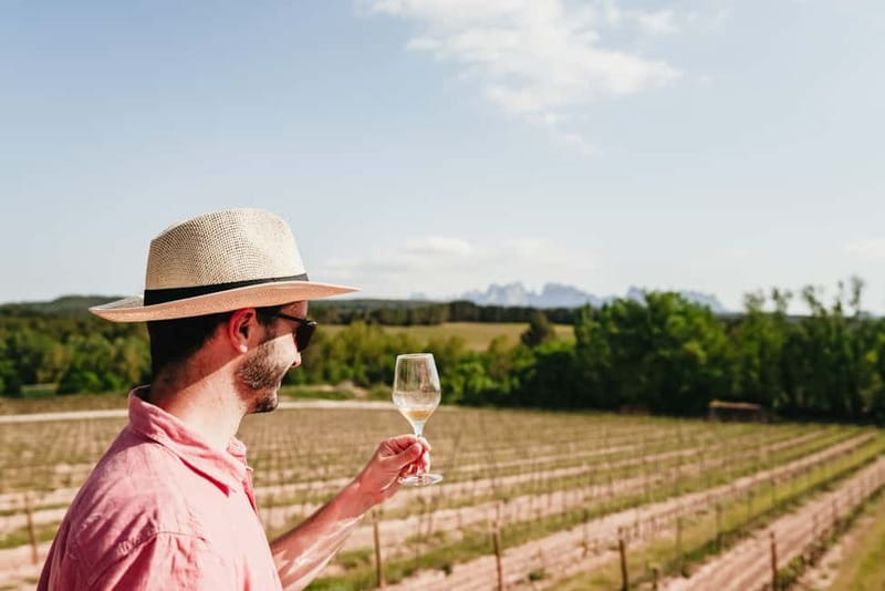 Barcelona: Montserrat and Winery Tour with Tapas or Lunch - Who Will Enjoy This Tour Most?