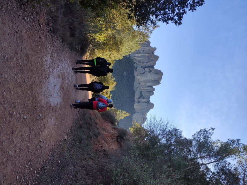 Barcelona: Montserrat Monastery & Hiking Off the Beaten Path - The return through forest and shade