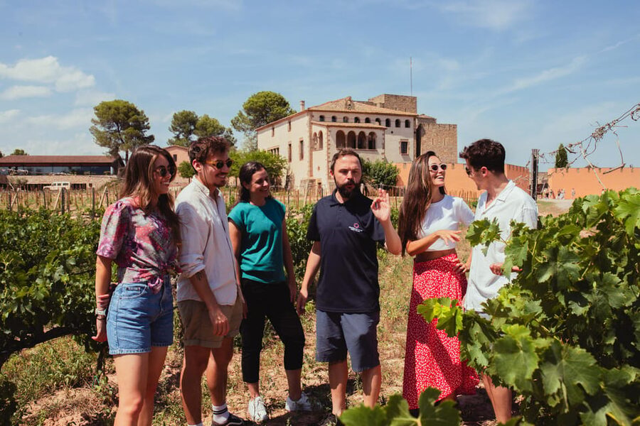 Barcelona: Montserrat with Winery, Lunch, and Train Options - Oller del Mas, the castle winery