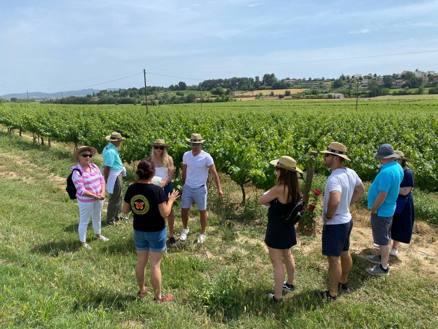 Barcelona: Montserrat with Winery Visit and Farmhouse Lunch - The $147 value