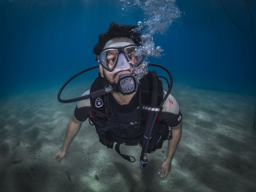 Barcelona: PADI Discover Scuba Diving - Photos and video are included, but check delivery