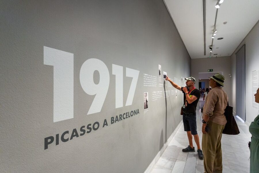 Barcelona: Picasso Museum Skip-the-Line Guided Tour - Meeting at Palau Dalmases, not the museum