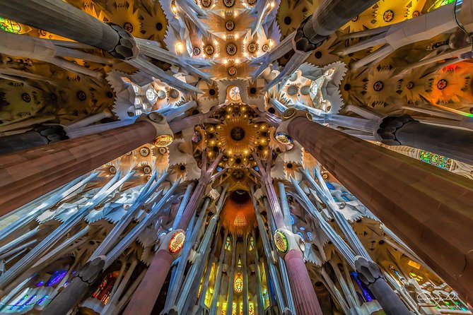 Barcelona: Sagrada Familia Fast Track Tour with Tower Option - Why a guided visit changes the Sagrada Familia