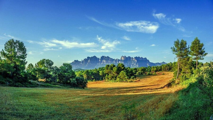Barcelona: Sagrada Familia & Montserrat Full-Day with Pickup - What the guides add to the day