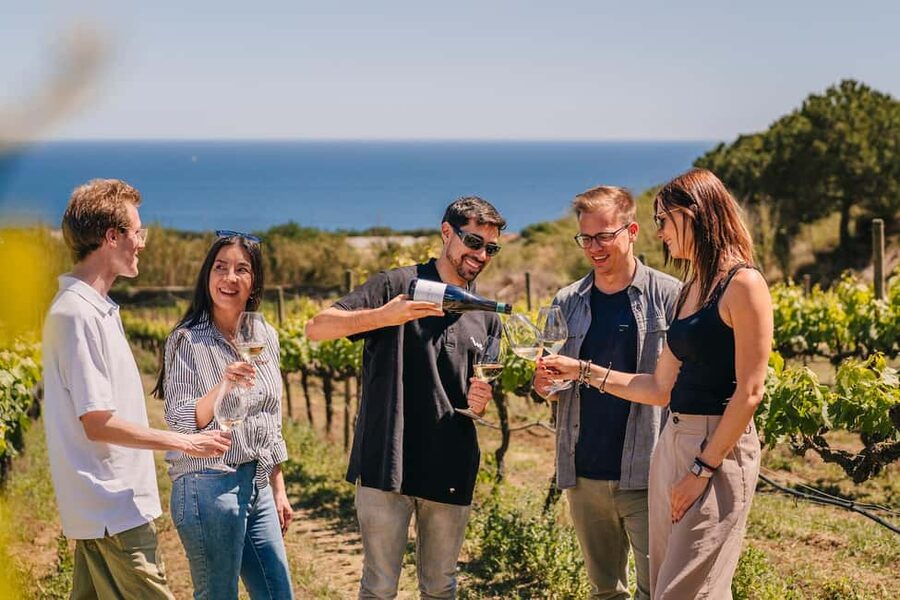 Barcelona: Sailing Cruise & Vineyard Tour with Wine Tasting - Meeting at Port Olímpic