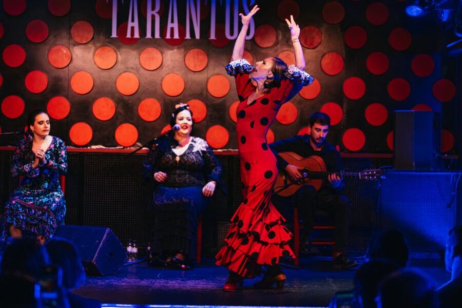 Barcelona: Tapas and Flamenco Experience - Who will enjoy this Barcelona evening