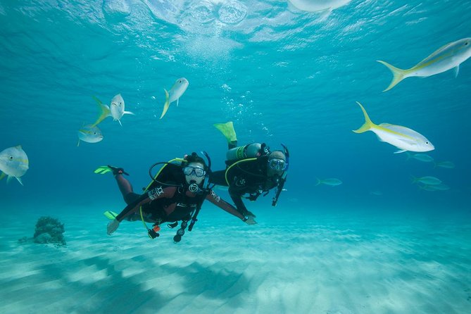 Beginners Scuba Diving Experience in Gran Canaria - What the two-hour session is really like