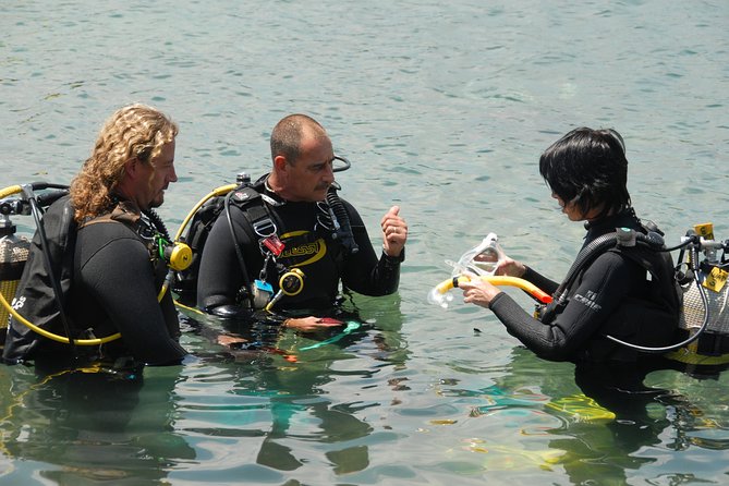 Beginners Scuba Diving Experience in Gran Canaria - What you might see below the surface