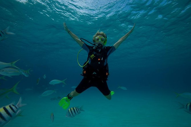 Beginners Scuba Diving Experience in Gran Canaria - Who should book this experience