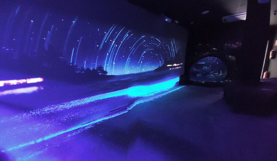 Benalmadena Aquarium Visit - Walking through the shark tunnel
