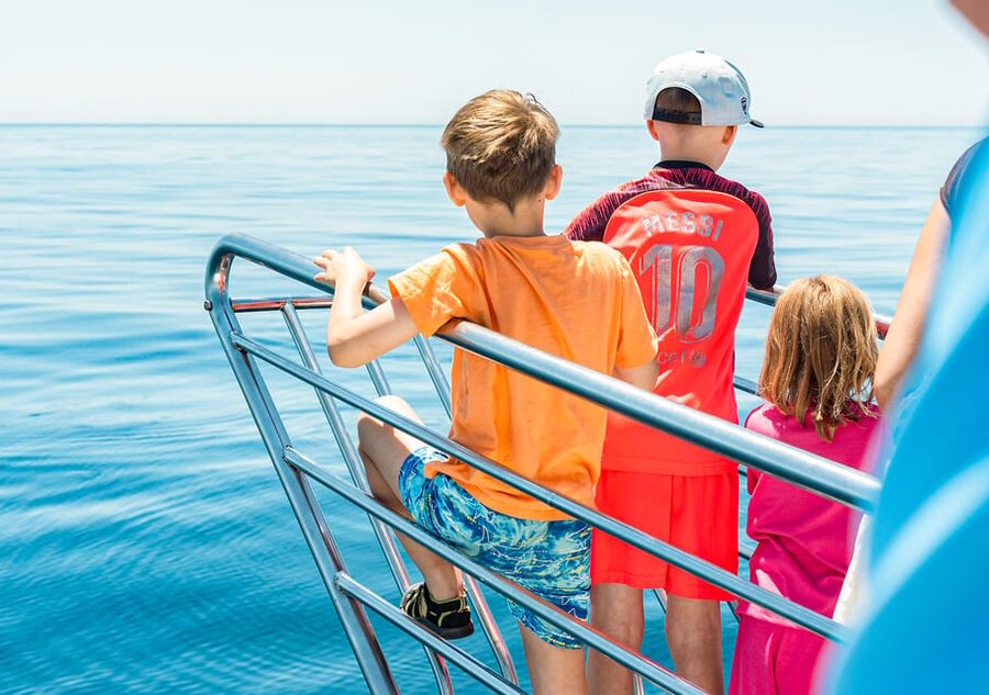 Benalmadena: Dolphin Watching Boat Tour - Who gets the most from this boat trip