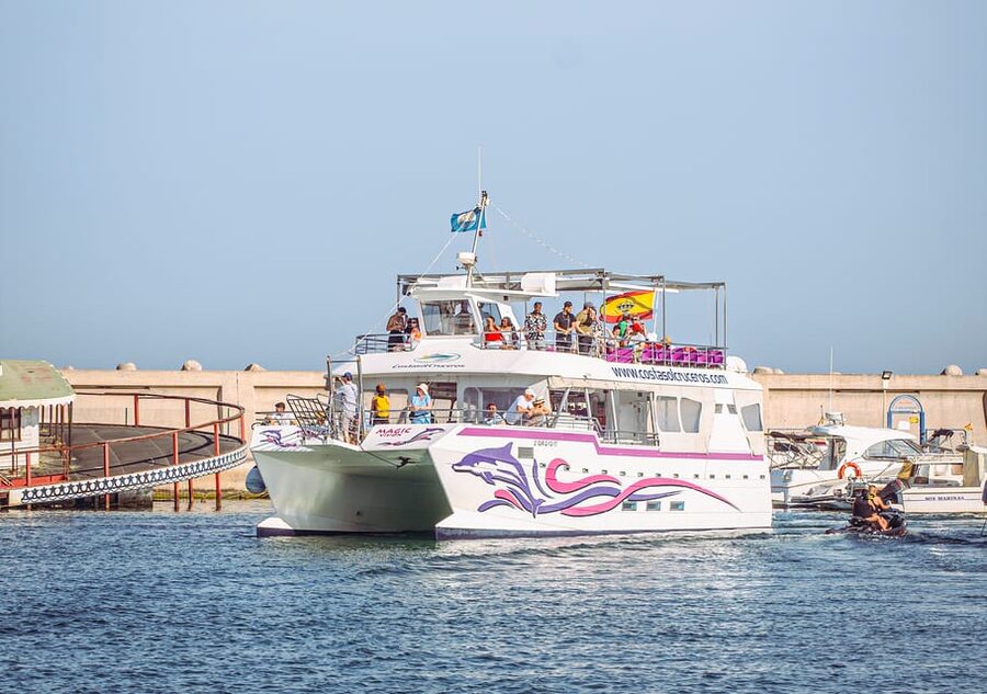 Benalmadena: Dolphin Watching Boat Tour - Setting out from Benalmádena Marina