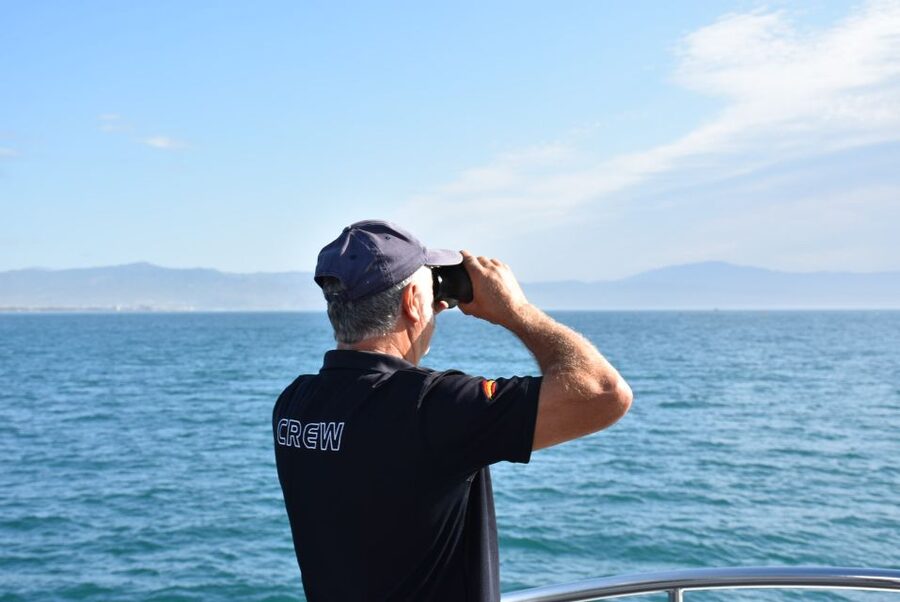 Benalmadena: Dolphin Watching Boat Tour - The changing Costa del Sol route