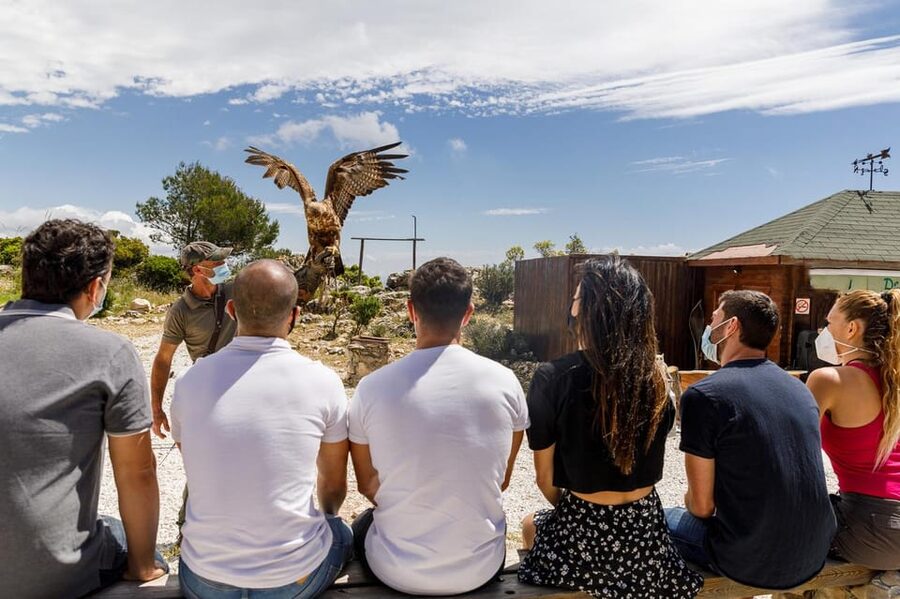 Benalmádena: Mount Calamorro Cable Car Ticket - Café, Wildlife, and Extra Things to Do