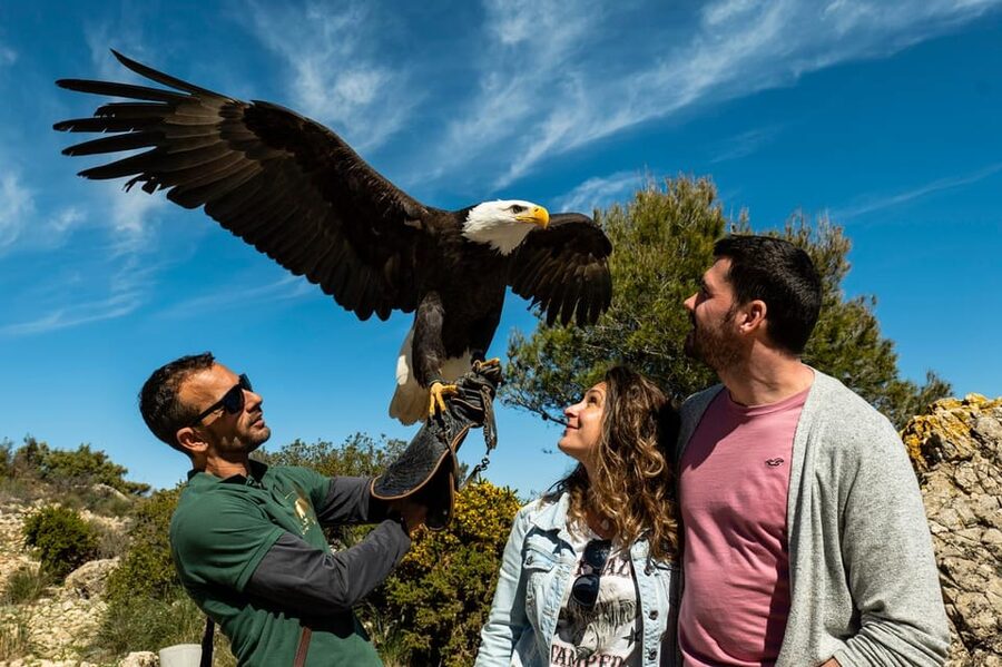 Benalmádena: Mount Calamorro Cable Car Ticket - One-Way or Round-Trip Ticket?