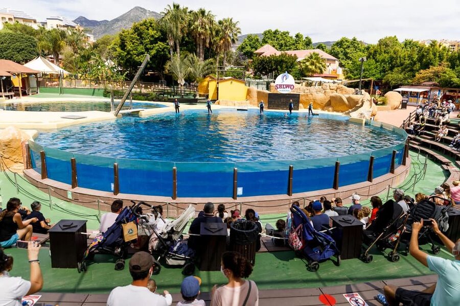 Benalmadena: Selwo Marina Admission Ticket - Food, shade, and practical comfort
