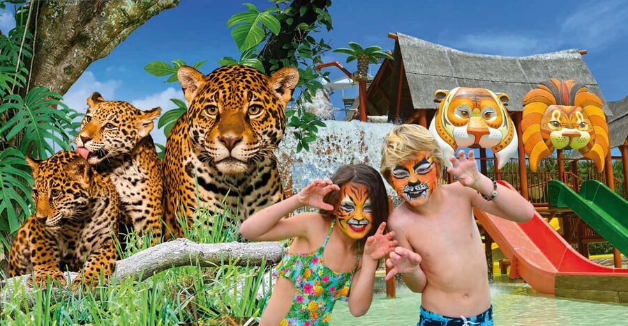 Benidorm: Terra Natura and Aqua Natura Combo Day Ticket - Key points at a glance