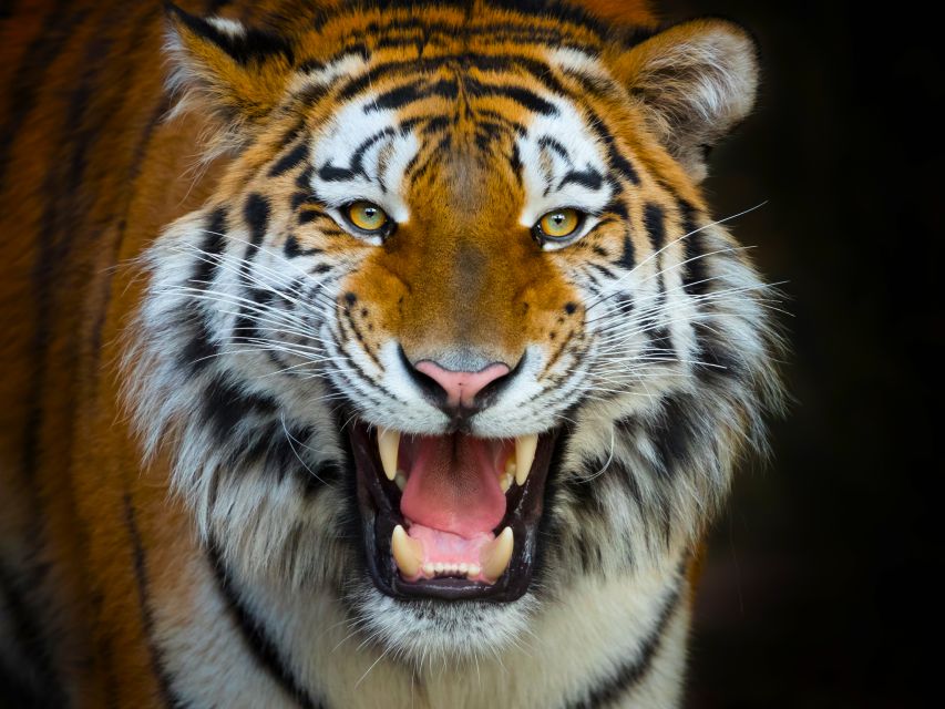 Benidorm: Terra Natura Theme Park 1-Day Tickets - A wildlife park with a clear sense of place