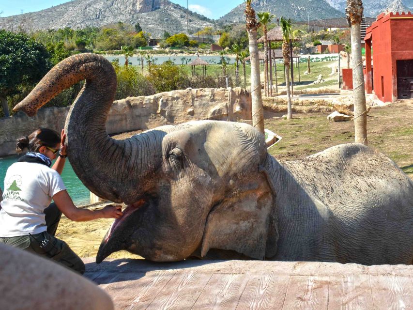 Benidorm: Terra Natura Theme Park 1-Day Tickets - The birds of prey show is worth planning around