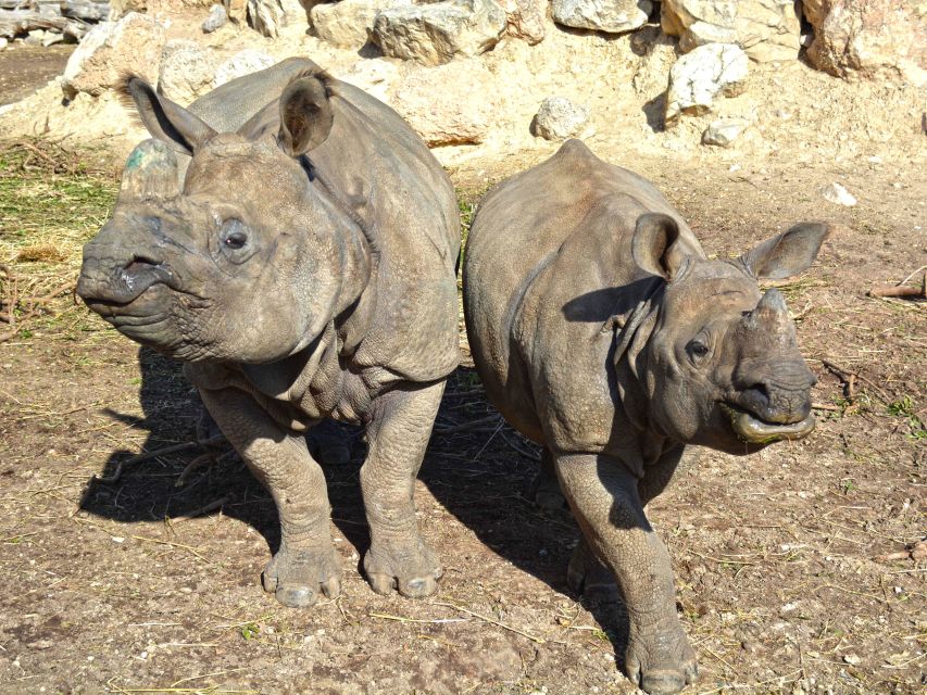 Benidorm: Terra Natura Theme Park 1-Day Tickets - Keeper talks and guided experiences