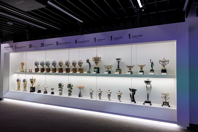 Bernabeu Stadium & Real Madrid Museum Guided Tour - The panoramic view and the changing Bernabéu