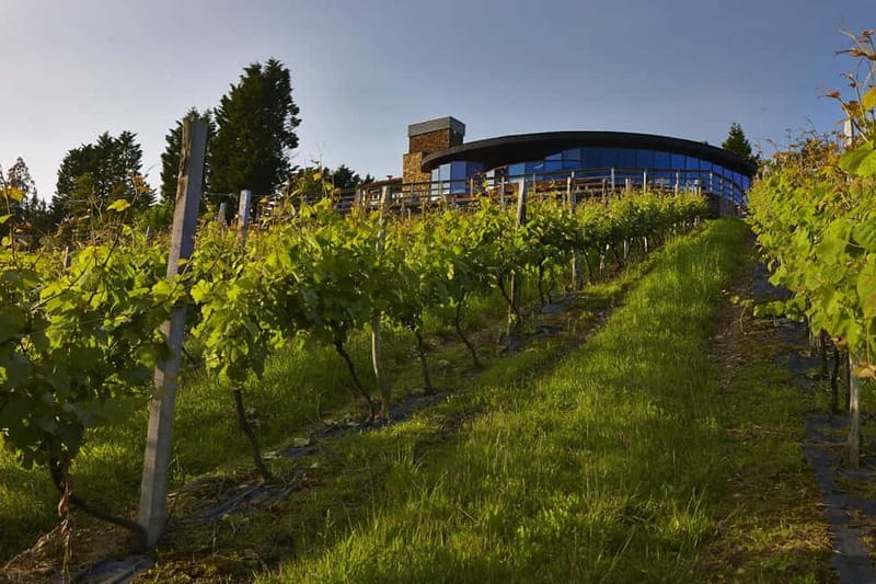 Bilbao: Gaztelugatxe, Bermeo, Mundaka, Gernika, & Wine Tour - Should you book it?