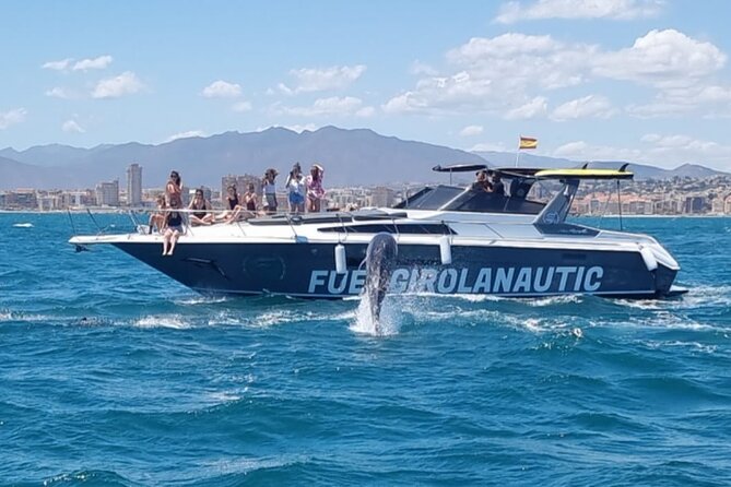 Boat Trip in Fuengirola, Dolphin Watching and Drinks - Dolphin watching on the Costa del Sol