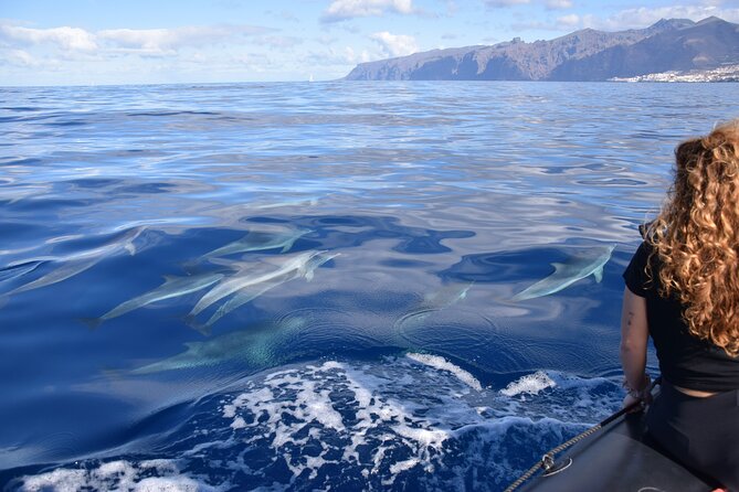 Bonadea II Ecological Whale Watching, 2 hours - Is $78.64 a fair price for two hours?