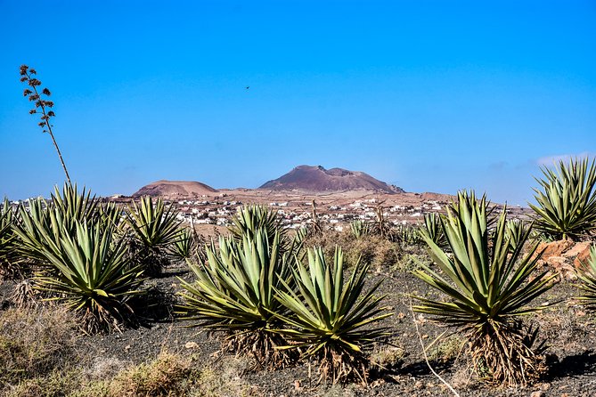 Buggy Fuerteventura Off-Road Excursions - Guides, safety, and the group format