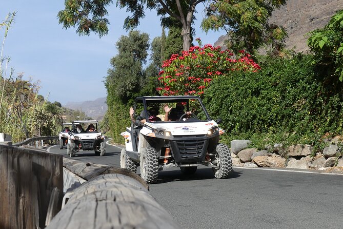 Buggy Tour Gran Canaria - Is $90.70 a fair price?