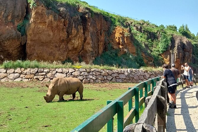 Cabarceno Natural Park Guided Visit from Santander - Animal viewing with scenery along the route