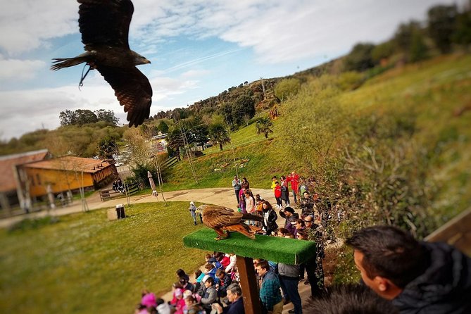 Cabarceno Natural Park Guided Visit from Santander - How much value you get for $90.11