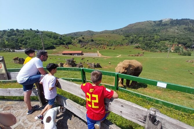 Cabarceno Natural Park Guided Visit from Santander - Practical details that affect your day