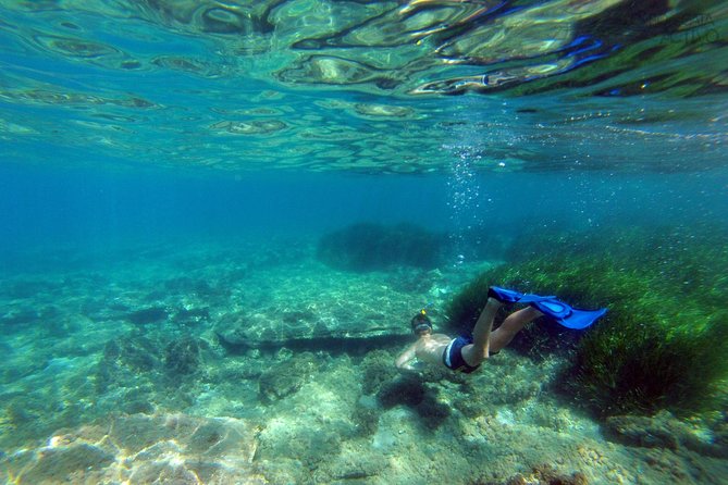 Cabo de Gata Active. Guided kayak and snorkel route through coves of the Natural Park - The snorkel stop in clear water