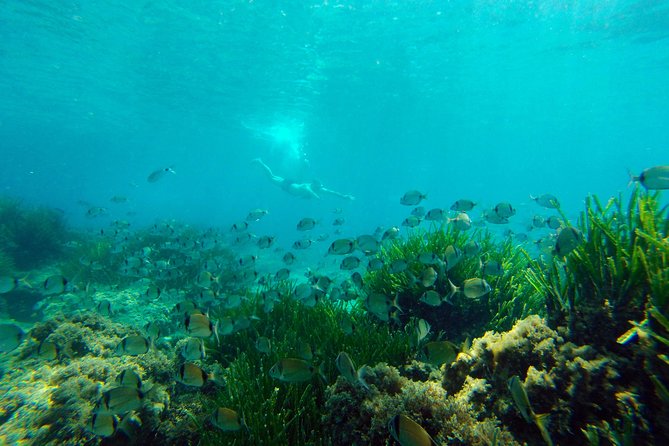 Cabo de Gata Active. Guided kayak and snorkel route through coves of the Natural Park - Is $54.42 a fair price?