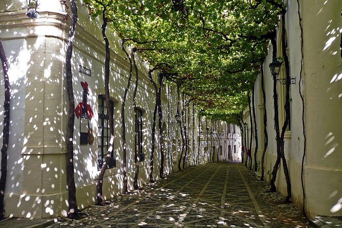 Cadiz and Jerez Day Trip from Seville - Should you book the Cádiz and Jerez trip?