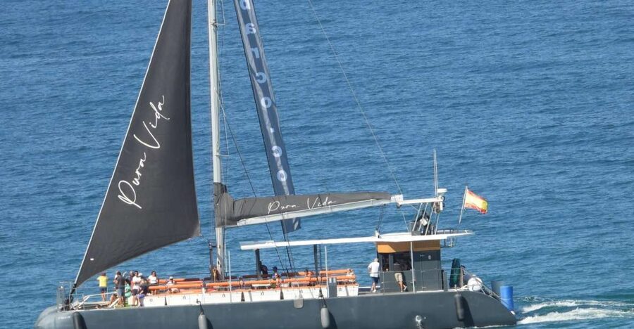 Cádiz: Bay of Cádiz Catamaran Tour with Host - Key points to know before boarding