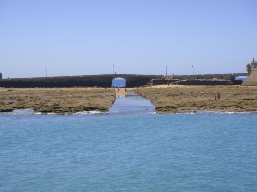 Cádiz: Bay of Cádiz Catamaran Tour with Host - Who will enjoy this Cádiz cruise most?
