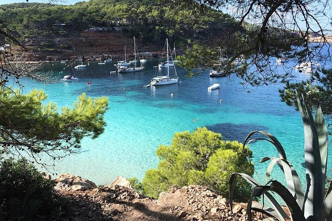 Cala Salada and Unspoiled North Beach Tour. Snorkelling and Aquarium - Leaving San Antonio for Ibiza’s north coast