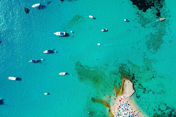 Cala Salada and Unspoiled North Beach Tour. Snorkelling and Aquarium - Drinks, snacks, music, and the social feel