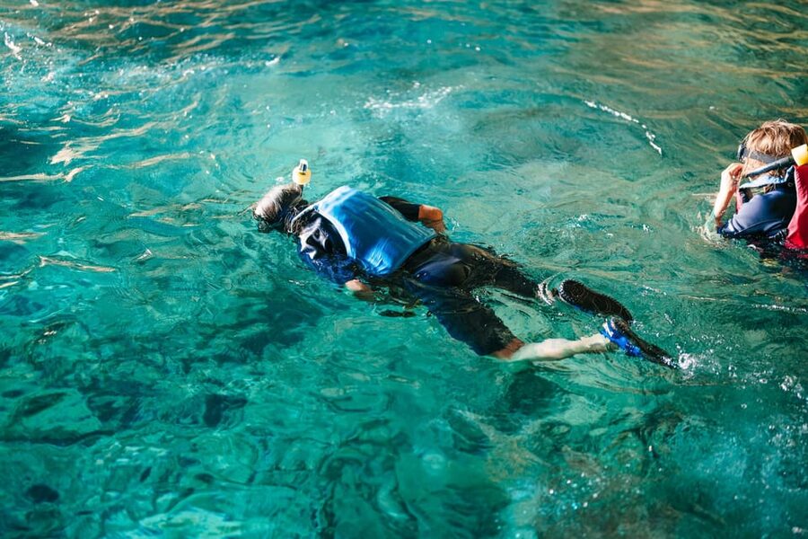 Cala Varques: Guided Sea Caves Kayak & Snorkeling Expedition - Snorkeling over Posidonia at Cala Varques
